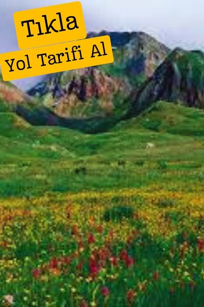 Arsiyan yaylasi arsiyan yaylası artvin