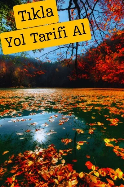 Yedi Göller Milli Parkı bolu yedi göller milli parkı