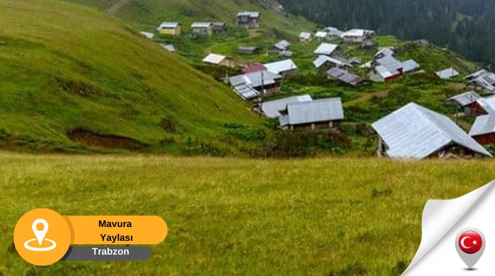Trabzon Mavura Yaylası Trabzon gezilecek yaylalar