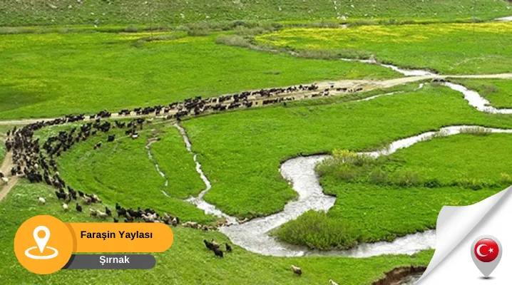 Şırnak Faraşin Yaylası Şırnak'ta Gezilecek Doğal Yerler