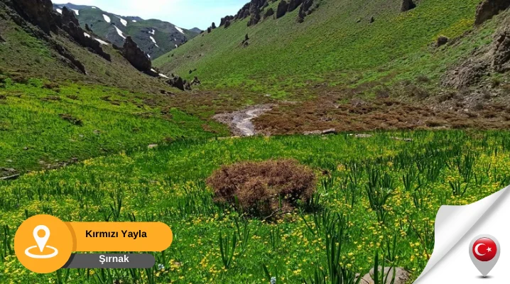 Kırmızı Yayla Şırnak Şırnak Kırmızı Yayla