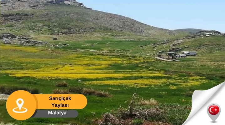 Sarıçiçek Yaylası Malatya malatya gezilecek yaylalar